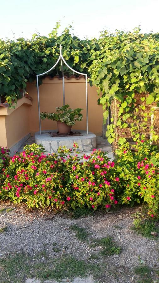 Apartman Jadranka Palit Kültér fotó
